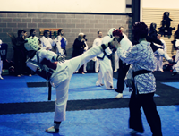 Tae Kwon Do