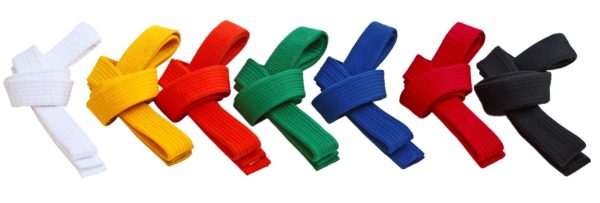 TaeKwonDo - Gup Testing - (Under Black Belt)